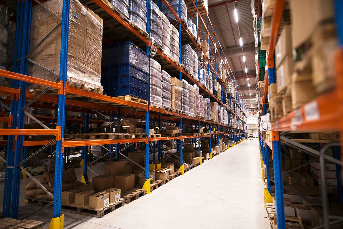 Image of Warehouse Cleaning